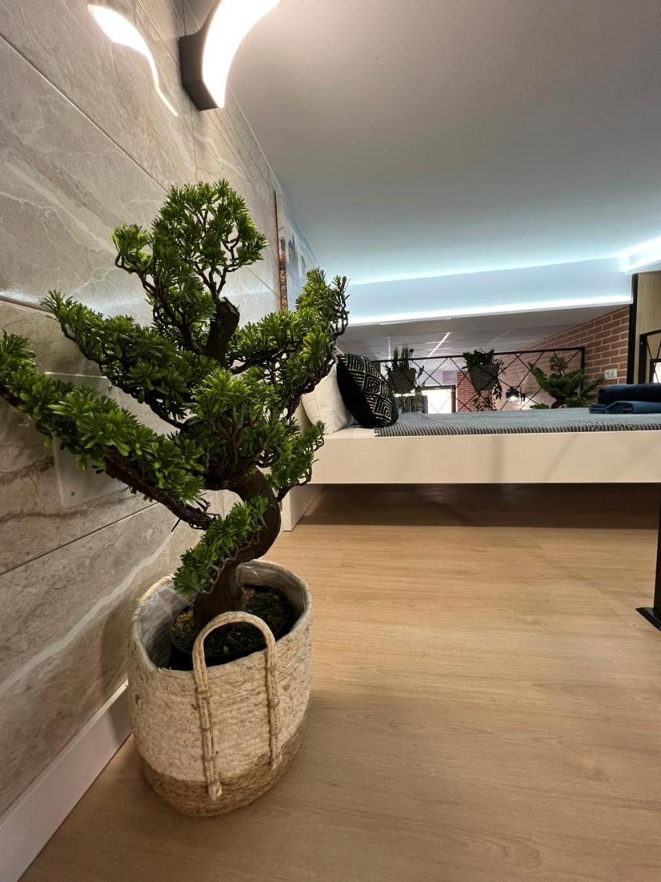 瓦伦西亚Carcaixent 24公寓式酒店 外观 照片